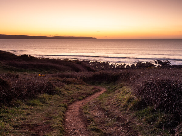 Sunset coast path Picture Board by Tony Twyman