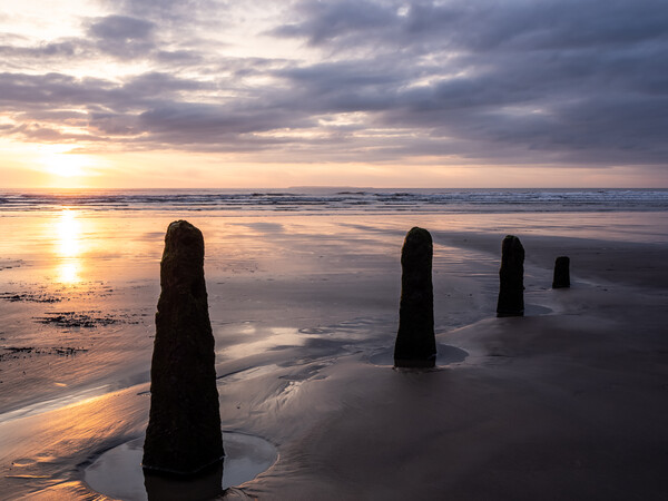 Weathered Groynes at Sunset Picture Board by Tony Twyman