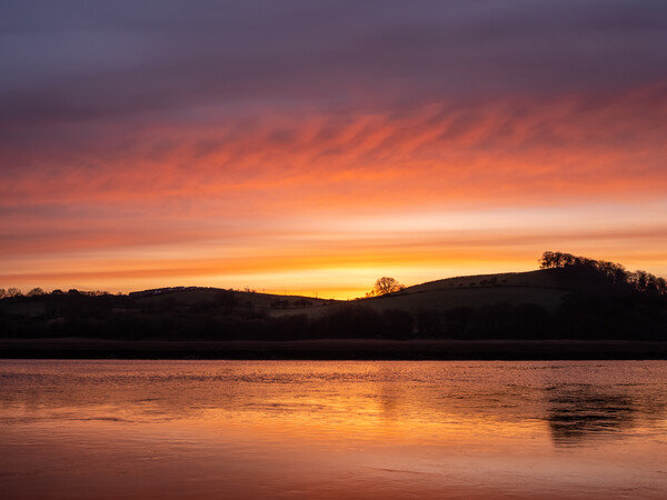 Sunrise on the River Torridge Picture Board by Tony Twyman