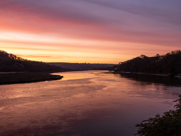 Bideford riverside sunrise Picture Board by Tony Twyman