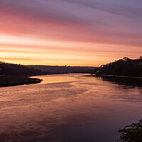 Buy canvas prints of Bideford riverside sunrise by Tony Twyman