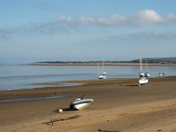 Boats moored on Instow Sands Picture Board by Tony Twyman