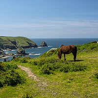 Buy canvas prints of Rugged Cornish coastline  by Tony Twyman