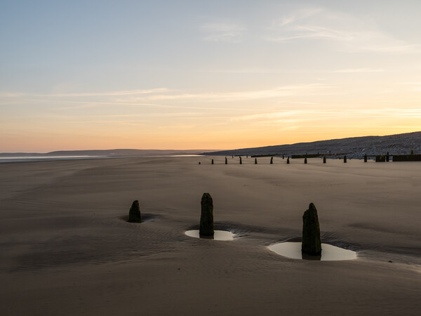 Weathered Groynes at sunrise Picture Board by Tony Twyman