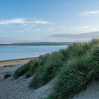 Buy canvas prints of Sand Dunes of Instow by Tony Twyman