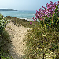Buy canvas prints of Colourful sand dunes of Crantock by Tony Twyman