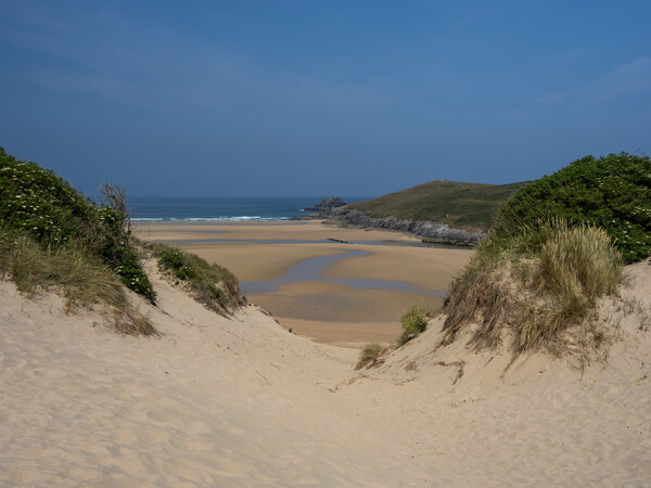 Cornish Sand Dunes Picture Board by Tony Twyman