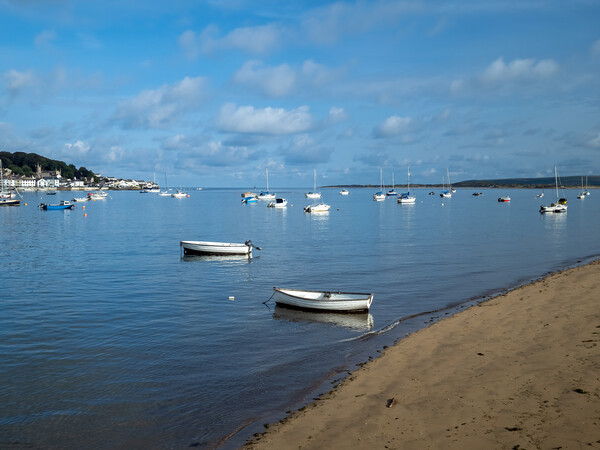 Boats moored on the Torridge Estuary Picture Board by Tony Twyman
