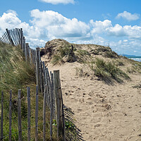 Buy canvas prints of Westward Ho! dunes by Tony Twyman