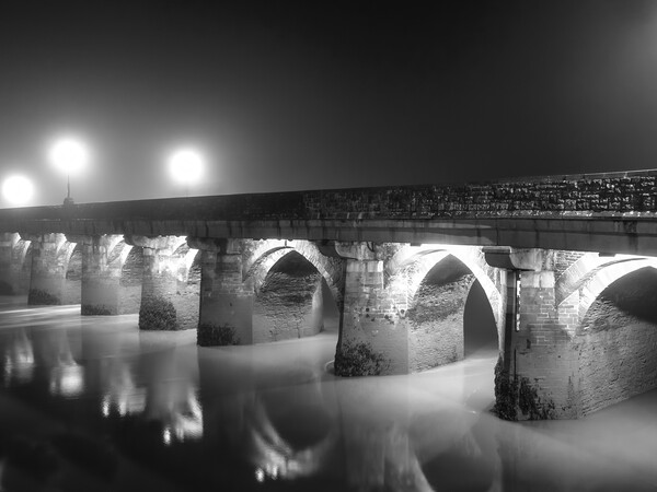 Bideford Long Bridge at Dawn Picture Board by Tony Twyman