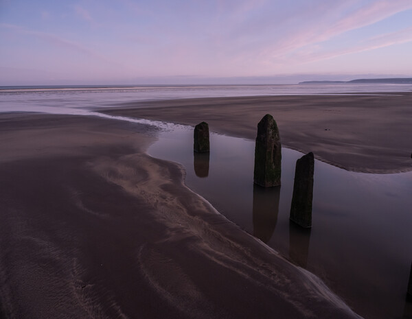 Weathered Groynes at sunrise Picture Board by Tony Twyman