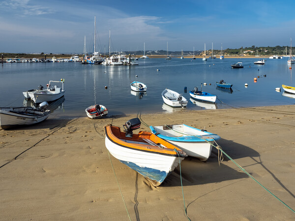 Alvor village beach and Marina Picture Board by Tony Twyman