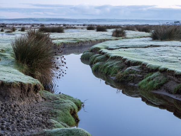 Northam Burrows Nature Reserve Picture Board by Tony Twyman