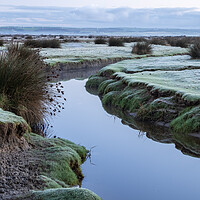 Buy canvas prints of Northam Burrows Nature Reserve by Tony Twyman