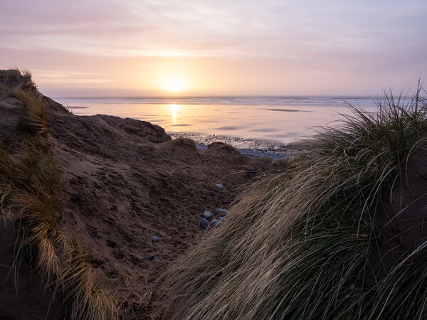 Marram grass sunset Picture Board by Tony Twyman