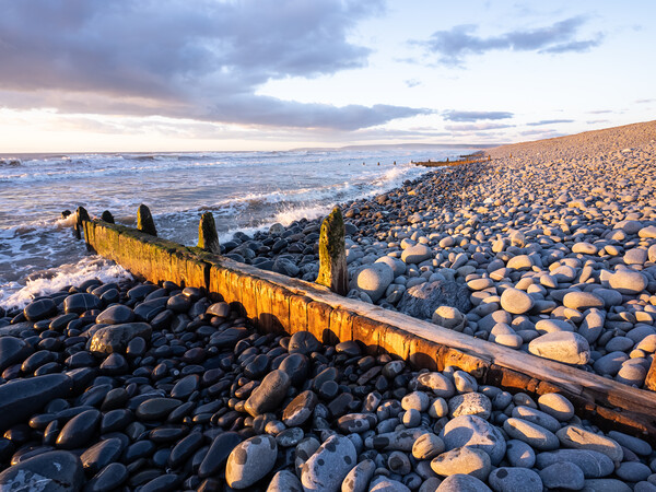 Sunlit weathered groynes Picture Board by Tony Twyman