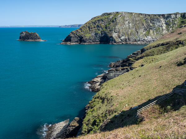 Cornish coast at Tintagel Picture Board by Tony Twyman
