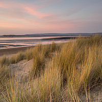 Buy canvas prints of Dune grass on the sandy beach of Instow at Sunset by Tony Twyman