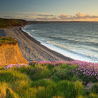 Buy canvas prints of Coast path at Sunset near Westward Ho , Devon by Tony Twyman