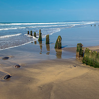 Buy canvas prints of Weathered groynes at Westward Ho! beach in Devon by Tony Twyman