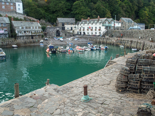 The timeless Clovelly quayside in North Devon Picture Board by Tony Twyman