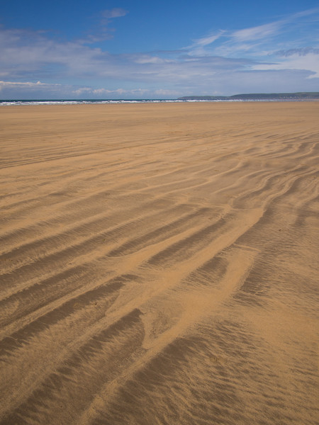 Westward Ho! sandy beach in North Devon Picture Board by Tony Twyman