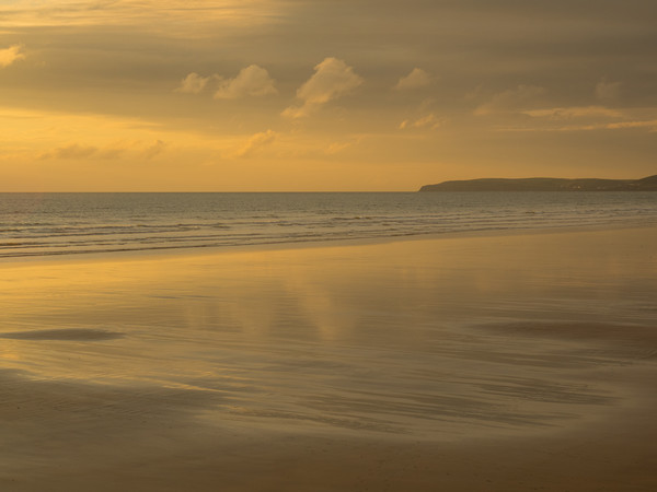 Westward Ho! golden beach sunset in North Devon Picture Board by Tony Twyman