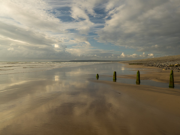 Groynes leading out to sea on Westward Ho! beach Picture Board by Tony Twyman