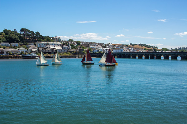 Yachts racing on the River Torridge at Bideford Picture Board by Tony Twyman
