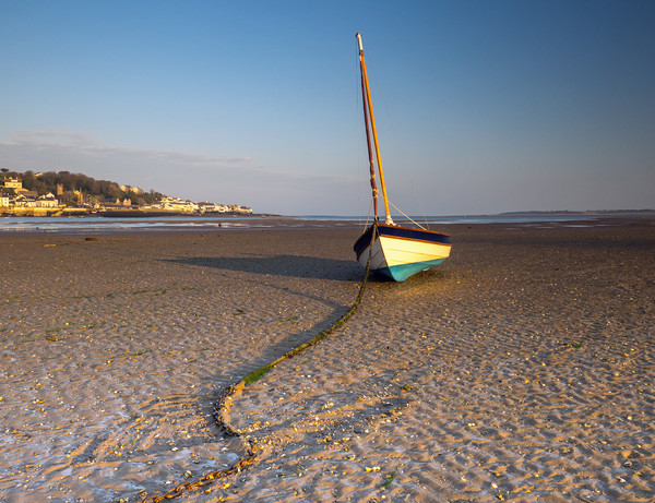 Yacht moored on Instow beach in North Devon Picture Board by Tony Twyman