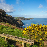 Buy canvas prints of Bench on the combe Martin to Hangman hills walk by Tony Twyman