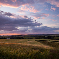Buy canvas prints of Farmers field in Bideford at Sunset in North Devon by Tony Twyman