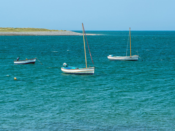 Boats moored at Appledore in North Devon Picture Board by Tony Twyman
