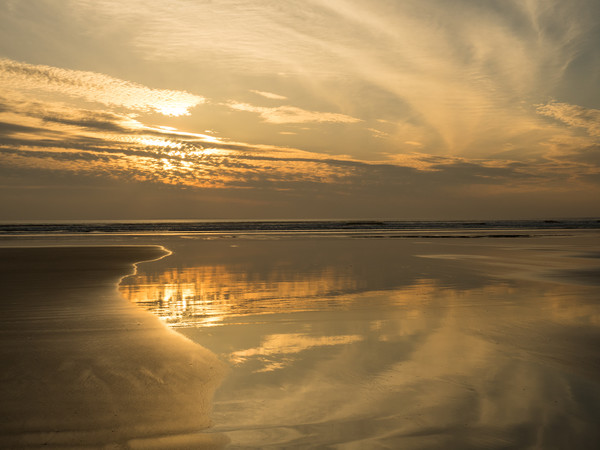 Westward Ho! reflective beach sunset in Devon Picture Board by Tony Twyman