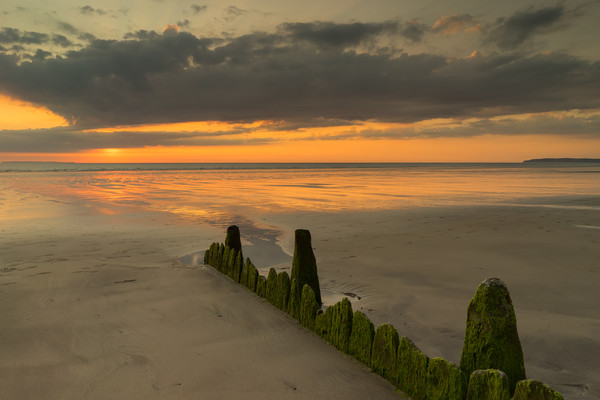 Westward Ho! sunset with weathered beach groynes Picture Board by Tony Twyman