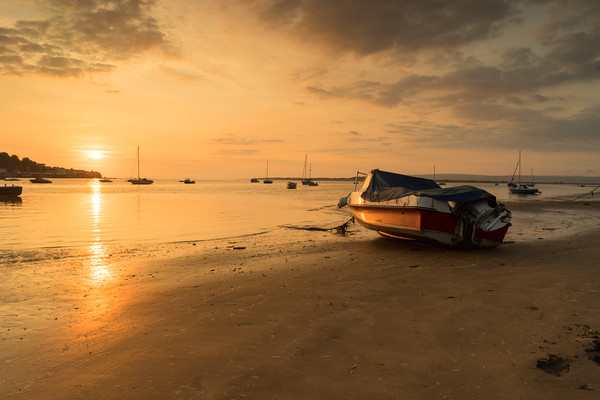 Sunset at Instow beach in North Devon Picture Board by Tony Twyman