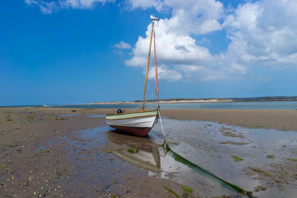 Boat moored on Appledore beach in North Devon Picture Board by Tony Twyman