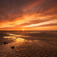 Buy canvas prints of Beautiful golden glow sunset on the Somerset coast by Tony Twyman