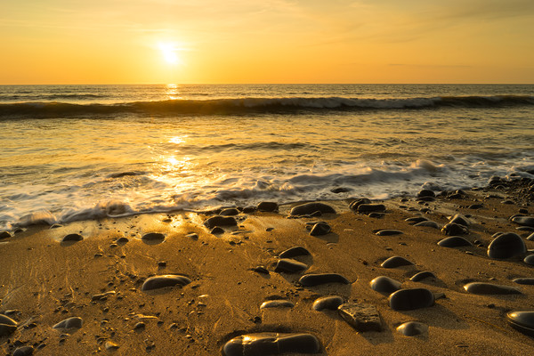 Sunlit pebbles on Westward Ho! beach at Sunset Picture Board by Tony Twyman