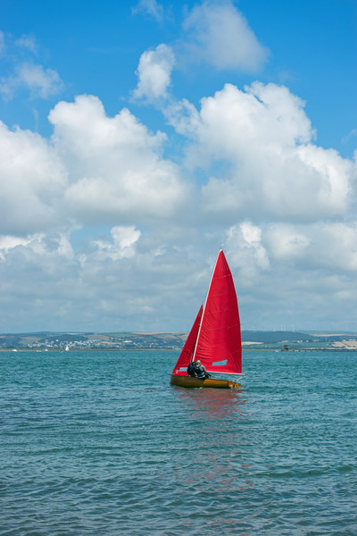 Yacht sailing on the Torridge estuary at Instow Picture Board by Tony Twyman