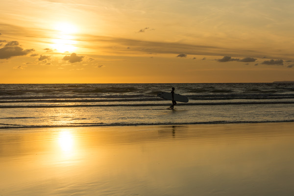 Sunset surfer at Westward Ho! North Devon Picture Board by Tony Twyman