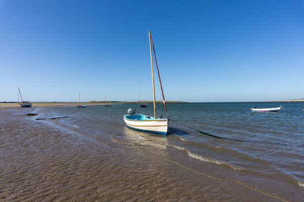 Yachts moored on Grey sands beach at Appledore  Picture Board by Tony Twyman