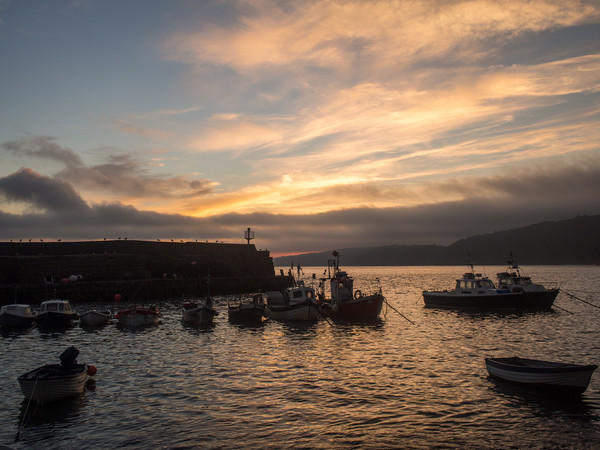 Sunrise over the fishing boats of Clovelly  Picture Board by Tony Twyman