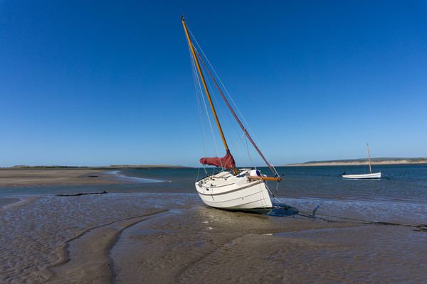 Yacht moored on Grey sands beach at Appledore Picture Board by Tony Twyman