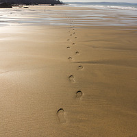 Buy canvas prints of Footsteps on a deserted Cornish beach by Tony Twyman