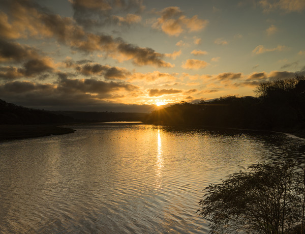 Sunrise on the River Torridge at Bideford , Devon Picture Board by Tony Twyman