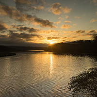 Buy canvas prints of Sunrise on the River Torridge at Bideford , Devon by Tony Twyman