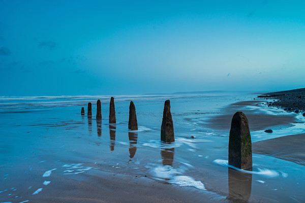 Weathered beach groynes at Dawn Picture Board by Tony Twyman