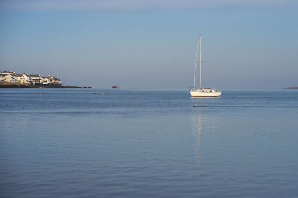 Yacht moored on the Torridge Estuary Picture Board by Tony Twyman