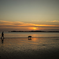Buy canvas prints of sunset dog walker by Tony Twyman